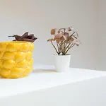Guestready - The Olives Coimbra