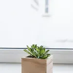 Guestready - The Olives * 科英布拉